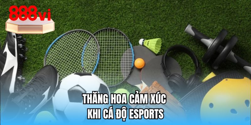 Thăng hoa cảm xúc khi cá độ Esports